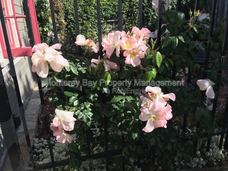 515 Dickman Street property image