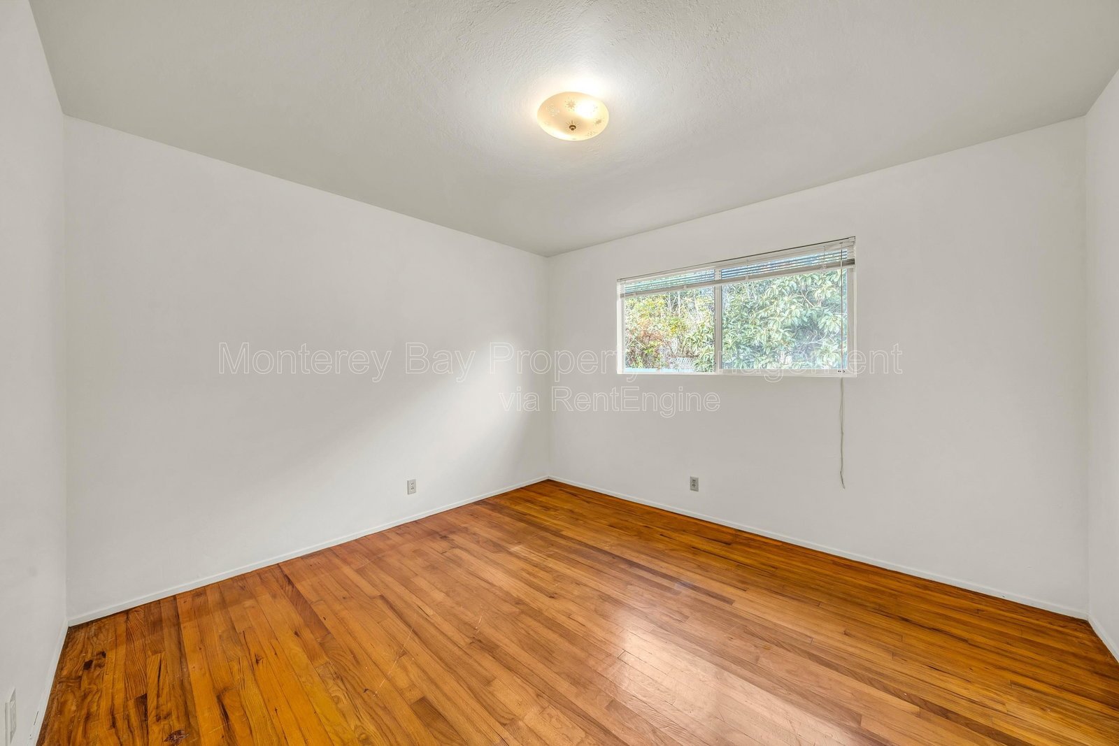 2100 David 0% property image