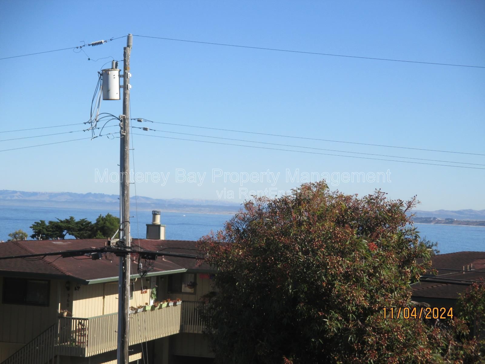 363 Spencer #1 property image