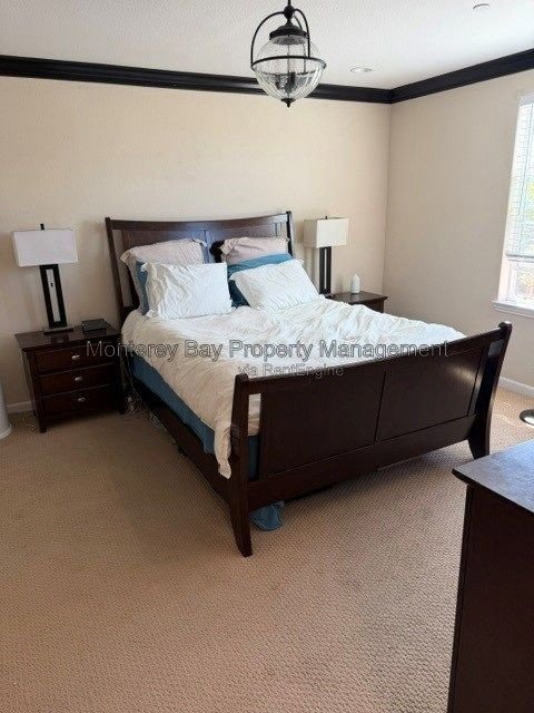 18331 Steedman property image